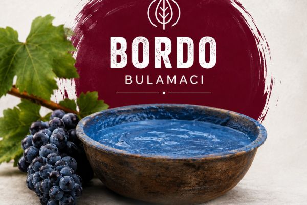 Bordo Bulamacı’na farklı bir bakış