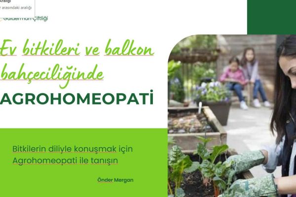 Ev, balkon ve bahçede bitki yetiştiricilerinin dikkatine