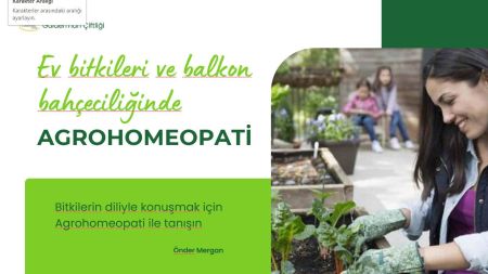 Ev, balkon ve bahçede bitki yetiştiricilerinin dikkatine