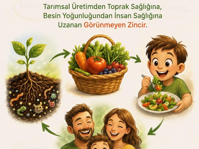 TOPRAKTAN SOFRAYA: GERÇEKTEN BESLENİYOR MUYUZ?