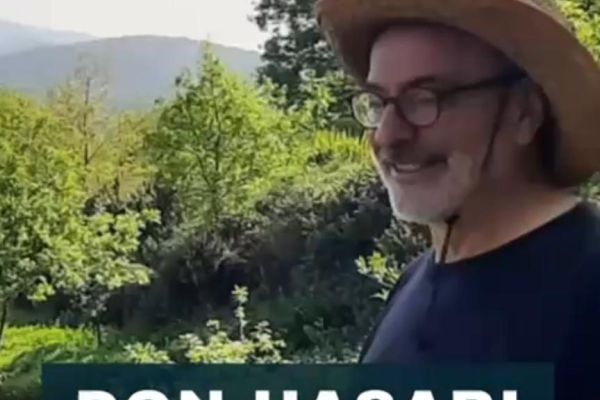 Bağda oluşan don hasarını tedavi ettik.