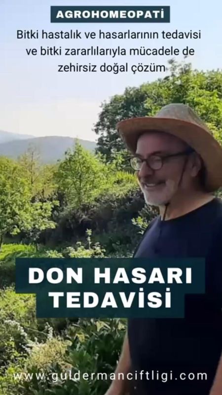 Bağda oluşan don hasarını tedavi ettik.