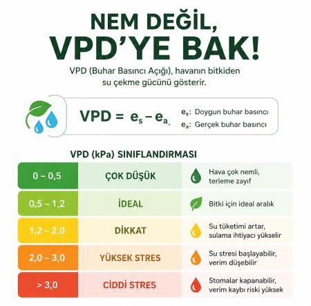 VPD: Bitkilerinizin Mutlu mu, Stresli mi Olduğunu Gösteren Gizli Gösterge