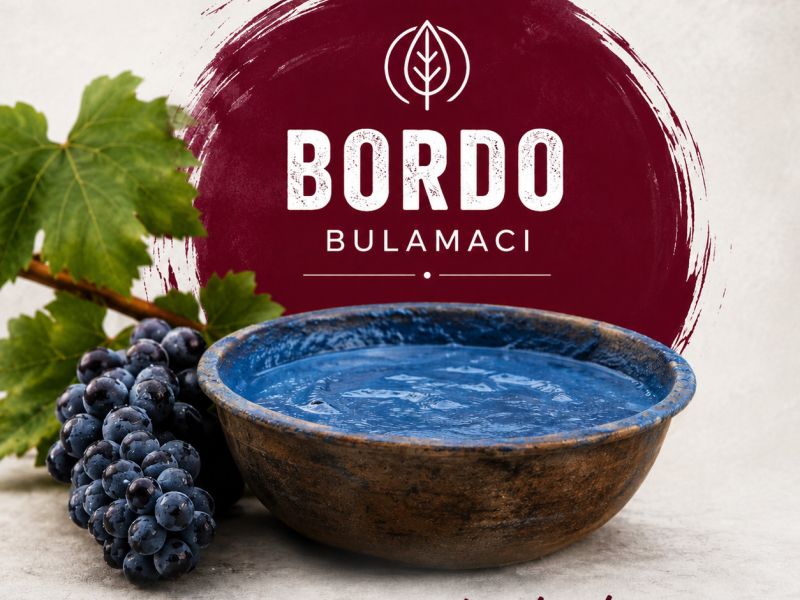 Bordo Bulamacı’na farklı bir bakış