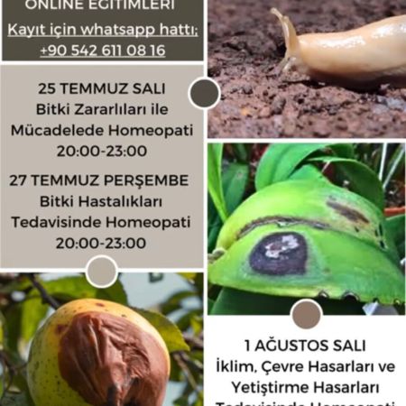 Agrohomeopati İleri Seviye Eğitimleri
