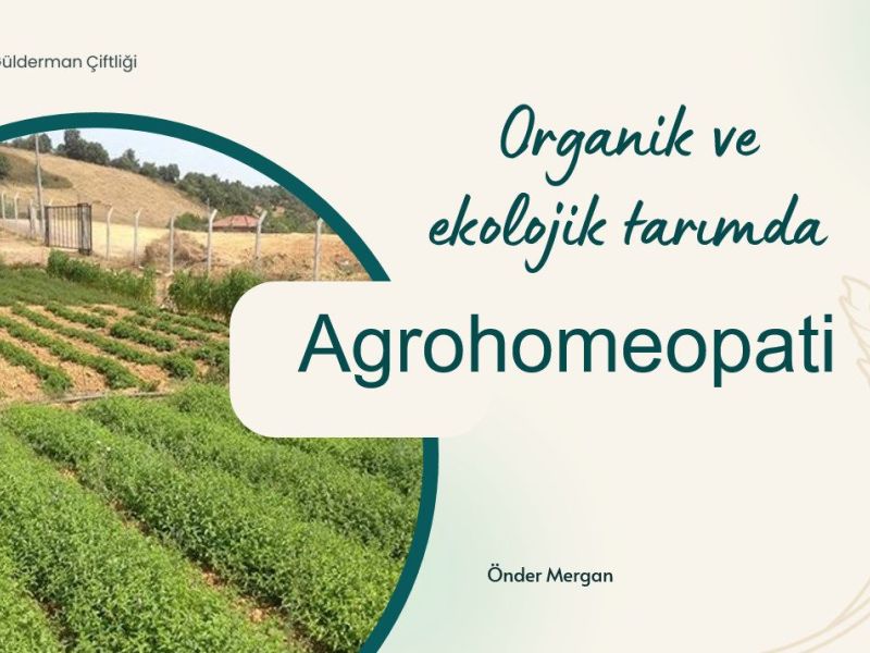 Organik, ekolojik, doğa dostu ve biyodinamik üreticilerin dikkatine