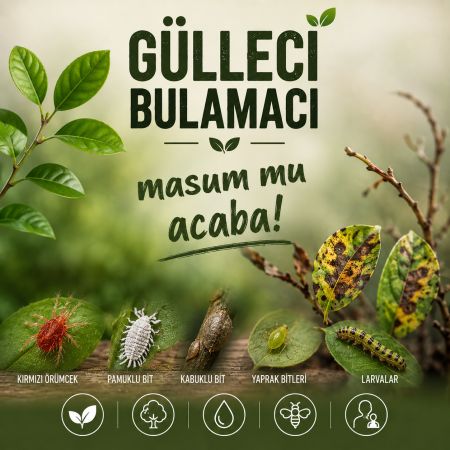 Gülleci bulamacı masum mu?