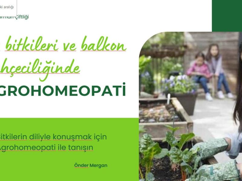Ev, balkon ve bahçede bitki yetiştiricilerinin dikkatine